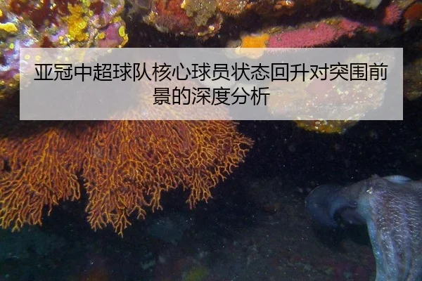 亚冠中超球队核心球员状态回升对突围前景的深度分析