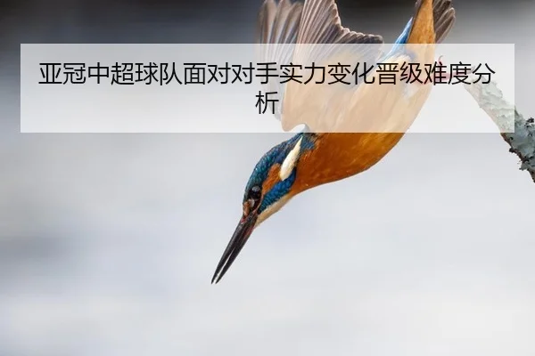 亚冠中超球队面对对手实力变化晋级难度分析